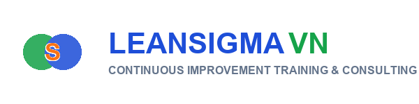LeanSigmaVN - Lean Six Sigma Training & Consulting