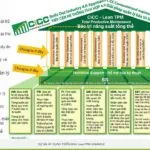 Tpm | Khóa Học Hướng Dẫn Triển Khai Bảo Trì – Từ Lý Thuyết ... | 7 Bước Thực Chiến