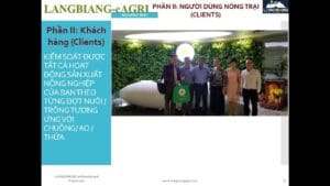 Khóa học Triển khai Chính sách Hoshin Kanri (Policy Deployment)