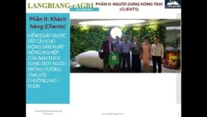 Khóa học Triển khai Chính sách Hoshin Kanri (Policy Deployment)