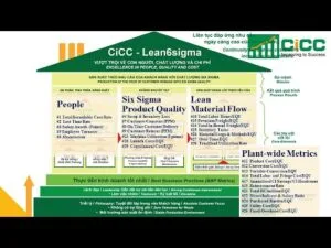 Minitab |  | Hướng Dẫn Thực Chiến | 7 Bước Chi Tiết