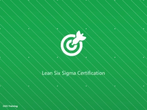Đào tạo Lean Six Sigma Black Belt