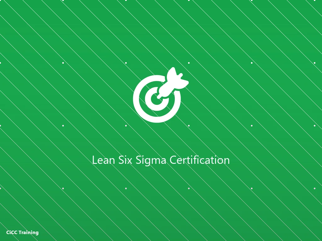 Khóa học Black Belt Lean Six Sigma - Nâng cấp từ Green Belt lên Đai đen (10 ngày + dự án)